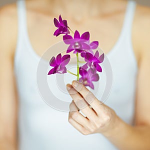 Woman hands holding some violet orchid flowers, sensual studio shot