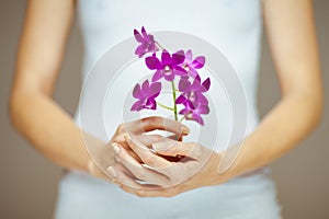 Woman hands holding some violet orchid flowers, sensual studio shot