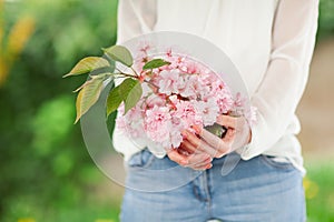 Woman hands holding white cherry blossom branch in her hands
