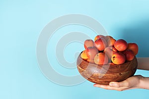 Woman hands holding wooden bowl of apricot on blue background. Banner with copy space. Fruit summer concept. Bowl of harvested