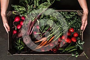 Woman hands holding wooden box with fresh vegetables on dark background. Healthy organic food, vegetables, agriculture, top view