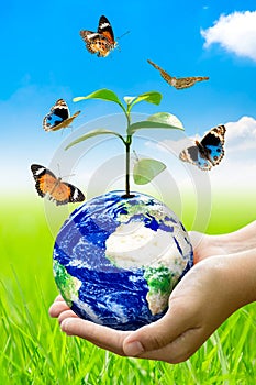 Woman hands holding world or globe above the field grass with butterfly on earth day.Environment conservation and energy saving