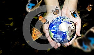 Woman hands holding world or globe with butterfly on earth day.Environment conservation and energy saving concept.Elements of this