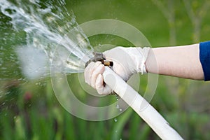 A woman hands with hosepipe watering her huge garden during lovely spring, summer time, hard work, senior gardening