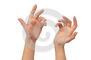 Woman hands isolated on a white background. Nude nail polish