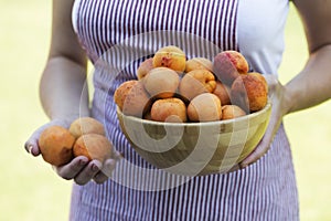 Woman hands keeping crockery with mellow apricots