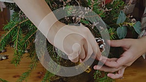 Woman hands making Christmas centerpiece flower arrangement.