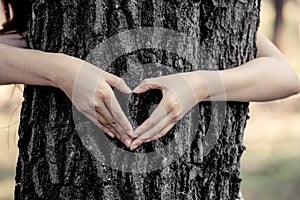 Woman hands making a heart shape around a big tree