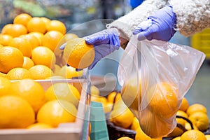 Woman hands in medical gloves chooses fresh oranges folding in a disposable plastic bag in supermarket.Protective against