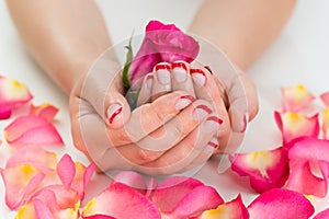 Woman Hands With Nail Varnish Holding Rose photo