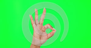 Woman, hands and okay sign on green screen for perfect, good job or success against a studio background. Hand of female