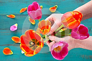 Woman hands organizing and assorting Tulip flowers bouque photo