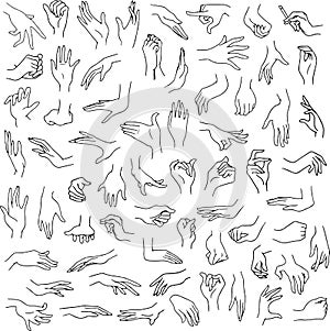 Woman Hands Pack Lineart