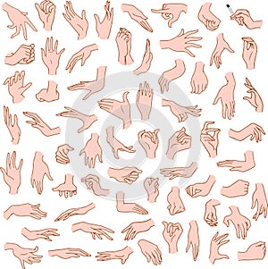 Woman Hands Pack photo