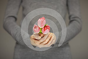 Woman hands with perfect nail art holding pink spring flowers tulips, sensual studio shot