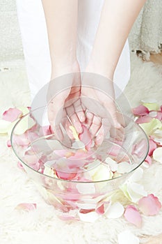 Woman hands with petals