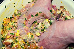 Woman hands prepare miced fresh meat for the meatballs. Manually mixing the  meat with eggs, parsley and garlic