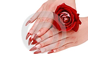 Woman hands with red rose