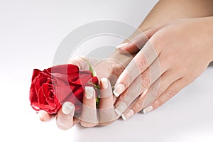 Woman hands with red rose