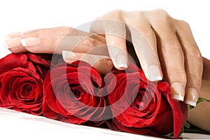 Woman hands with red roses