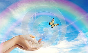 Woman hands releasing a butterfly - Symbolic Spiritual Release