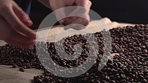 Woman hands sorting poor quality`s of rusted coffee beans