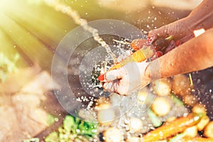 Woman hands Washing a bunch of carrots under water outdoor summer