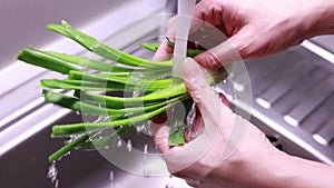 woman hands washing bunch of green onion in kitchen sink closeup