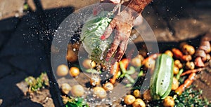 woman hands washing cabbage outdoor, summertime sunshine, fresh vegetales photo