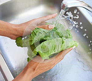 Woman, hands and washing lettuce in water or sink for fresh produce, natural vegetables or health in kitchen at home