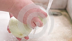 Woman hands washing white onion at kitchen sink, close up slow motion.