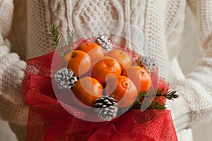 Woman hands in white sweater holding bouquet of mandarins and Christmas tree branches. New Year`s edible bouquet of