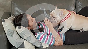 Woman is happily fun playing and teasing dog French Bulldog.