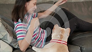 Woman is happily fun playing and teasing dog French Bulldog.