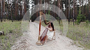 Woman harpist plays harp at forest sand road.