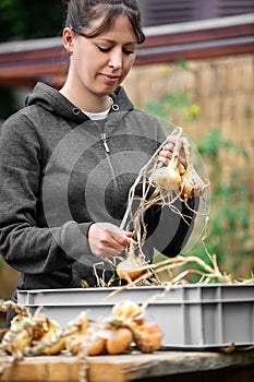 Woman with harvested onion bulbs