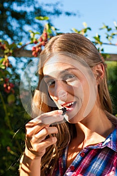 Woman harvesting berries in garden