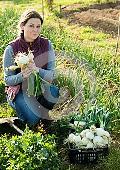 Woman harvesting fresh green onion