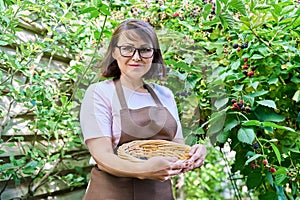 Woman harvesting ripe blackberries in the garden
