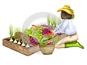 A woman harvests vegetables from a garden bed.