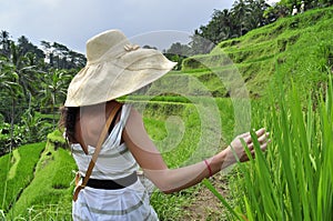 Woman with hat in rice field in Bali, luxury relaxation