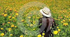 Woman with hat walks in cultivation field of Cempasuchil flower, flower for day of the dead in Mexico