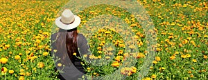 Woman with hat walks in cultivation field of Cempasuchil flower, flower for day of the dead in Mexico