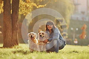 Woman have a walk with two Golden Retriever dogs in the park