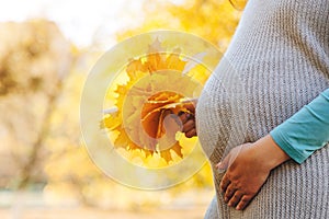 Woman having happy pregnancy time. Pregnant woman's belly over autumn background. Baby expectation