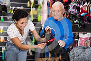 Woman helping an elderly man to choose collar for dog