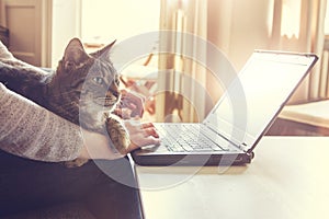 Woman and her cat working on a laptop computer