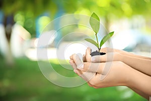 Woman and her child holding soil with green plant