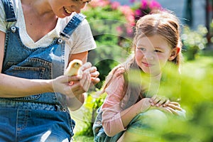 Woman with her daughter holding a baby chick in her hands very carefully
