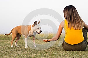Woman with her dog sitting on the grass and exchanges tenderness